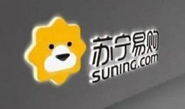 苏宁易购员工最新爆料,揭秘员工视角下的企业变革与挑战